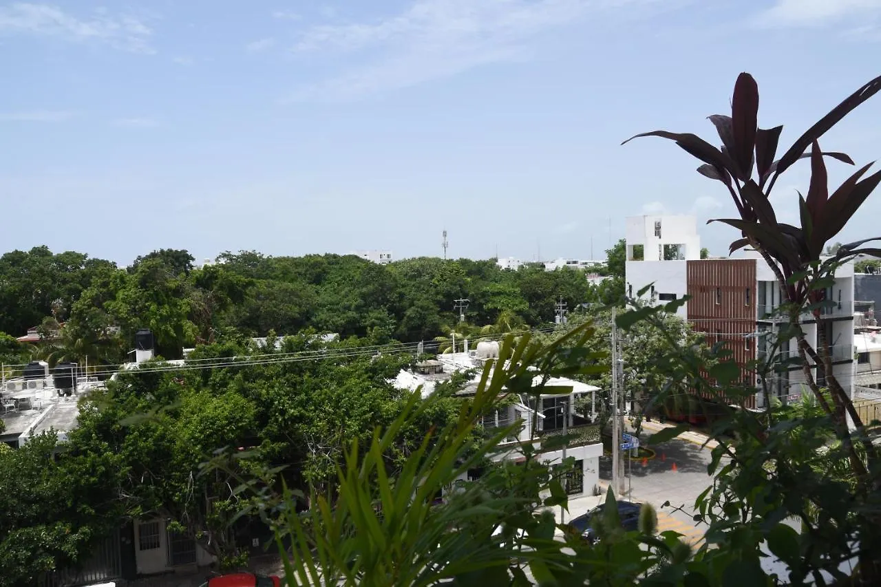 Apartment Suites Calle 38 Playa del Carmen