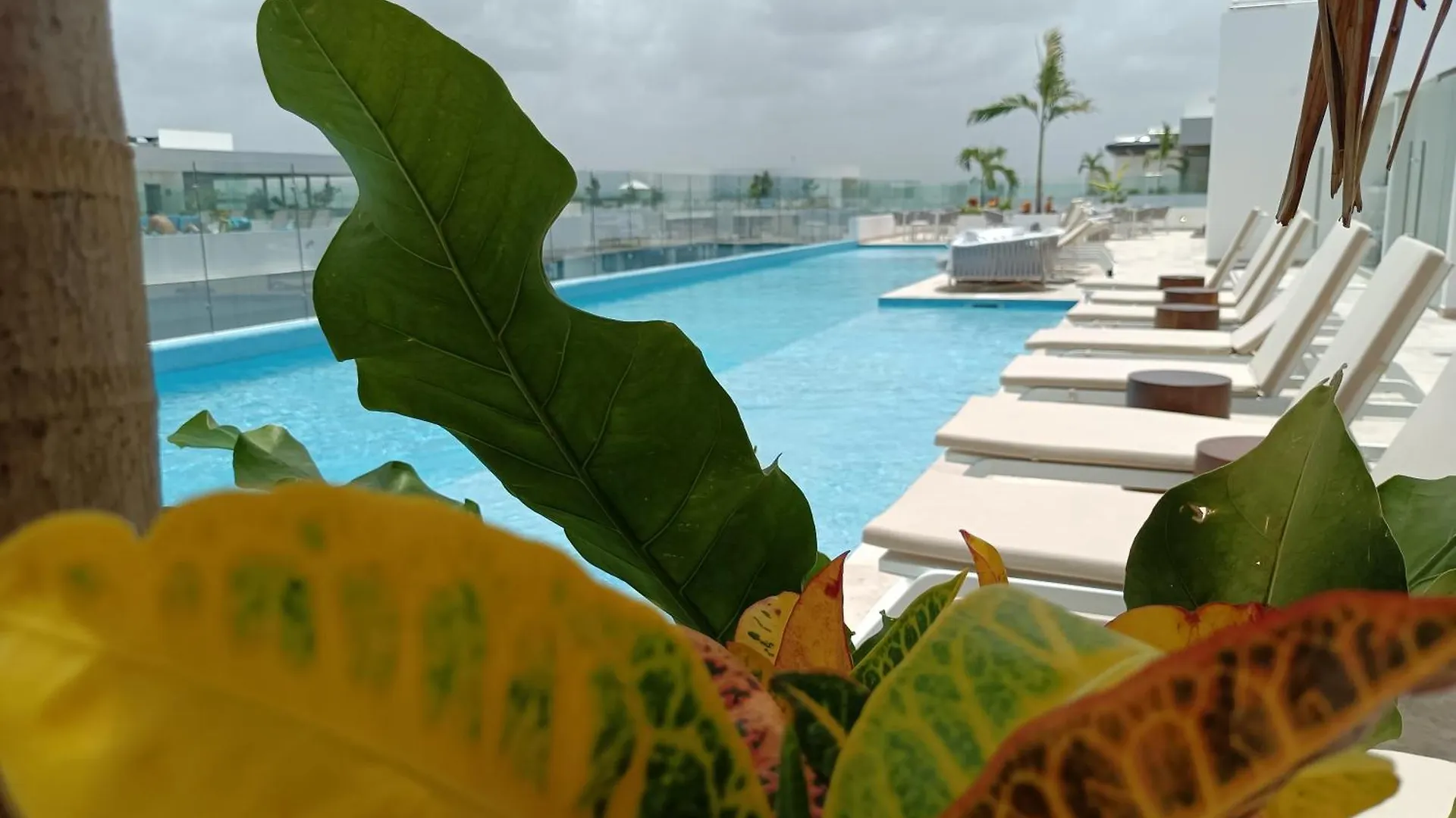 Apartment Suites Calle 38 Playa del Carmen